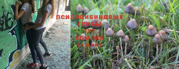 кокаин Приозерск