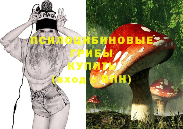 МДМА Протвино