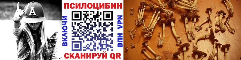 Галлюциногенные грибы GOLDEN TEACHER  Славск 